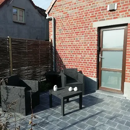 Eul Cat Huant *