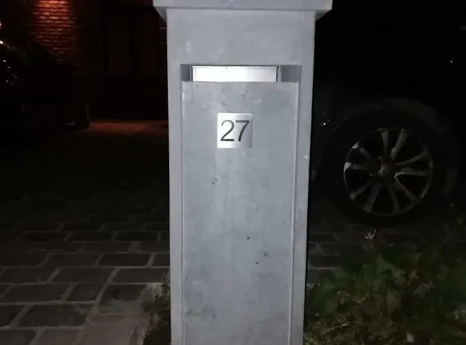 Eul Cat Huant * Dergneau